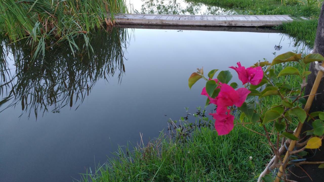 Bed and Breakfast El Tramway Casa Antigua De Campo Сан-Антонио-де-Ареко Экстерьер фото